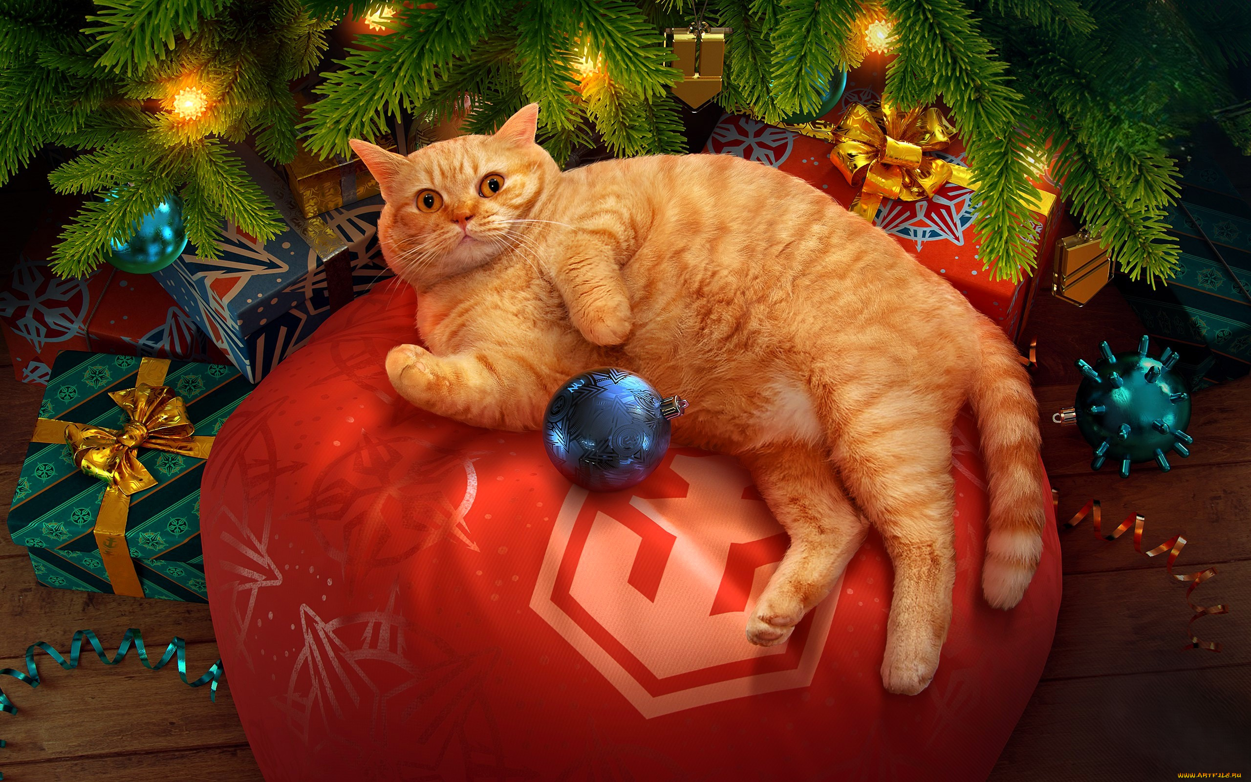  , world of warships, , , , , 